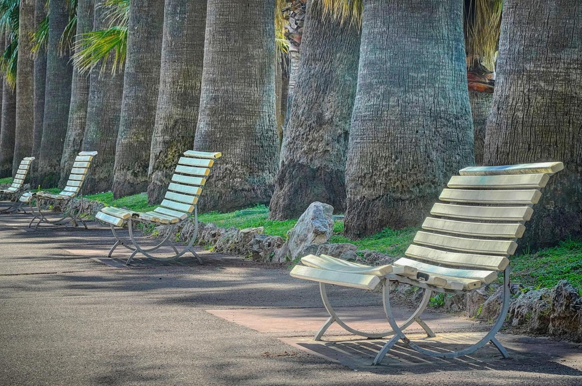 Le Palm - 100M Plage - Croisette - Verriere Cote D'Azur Cannes Exterior foto